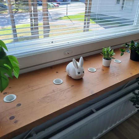 Central Studio - Easy Check-In, Free Parking & Wifi Rovaniemi Bagian luar foto