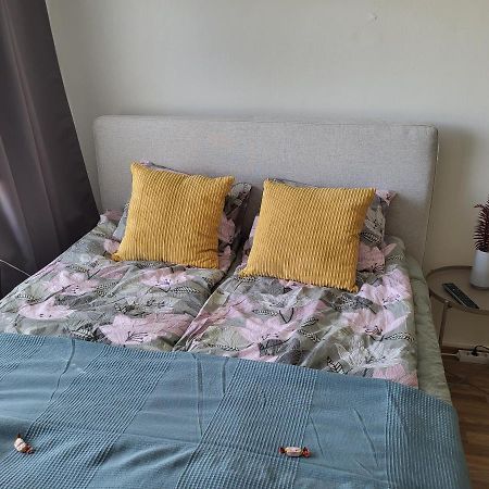 Central Studio - Easy Check-In, Free Parking & Wifi Rovaniemi Bagian luar foto